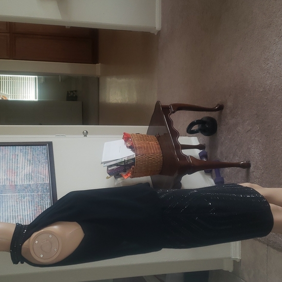 Cache 2 beaded mockneck & skirt flowy upper keyhole back - Picture 8 of 11